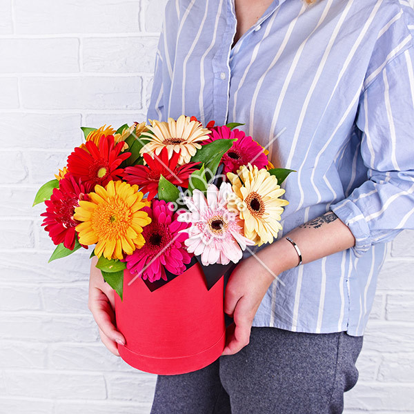 Радостные встречи - коробка с разноцветными герберами